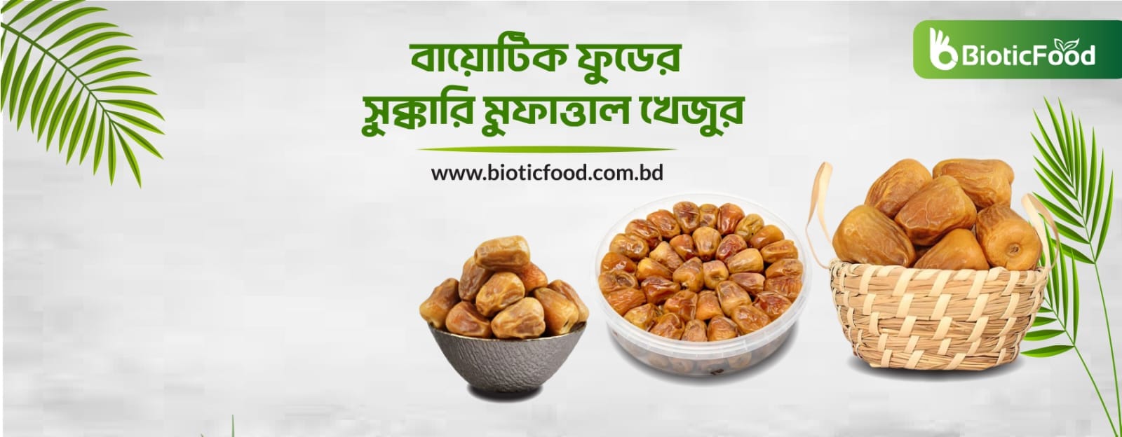 WhatsApp-Image-2025-11-14-at-10.56.43-PM